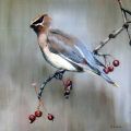 Oiseau sur branche de cerisier - Galerie 4 Acrylique