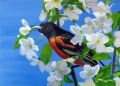 OISEAU DANS FRUITIER EN FLEURS - Galerie 4 Acrylique